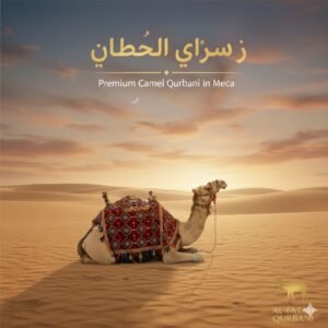 dumba for qurbani in makkah proxy umrah