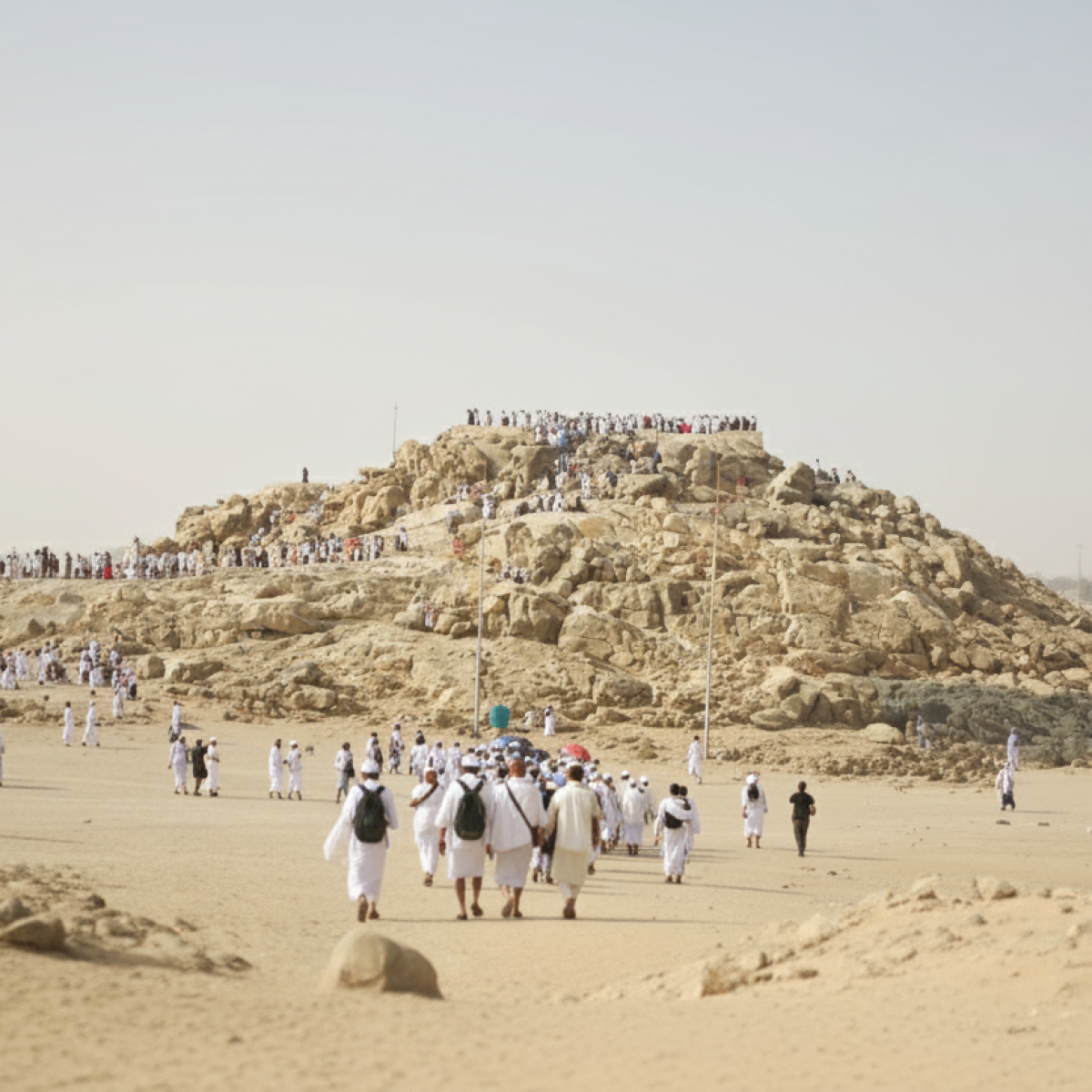 Gemini_Generated_Image_bqo2z1bqo2z1bqo2